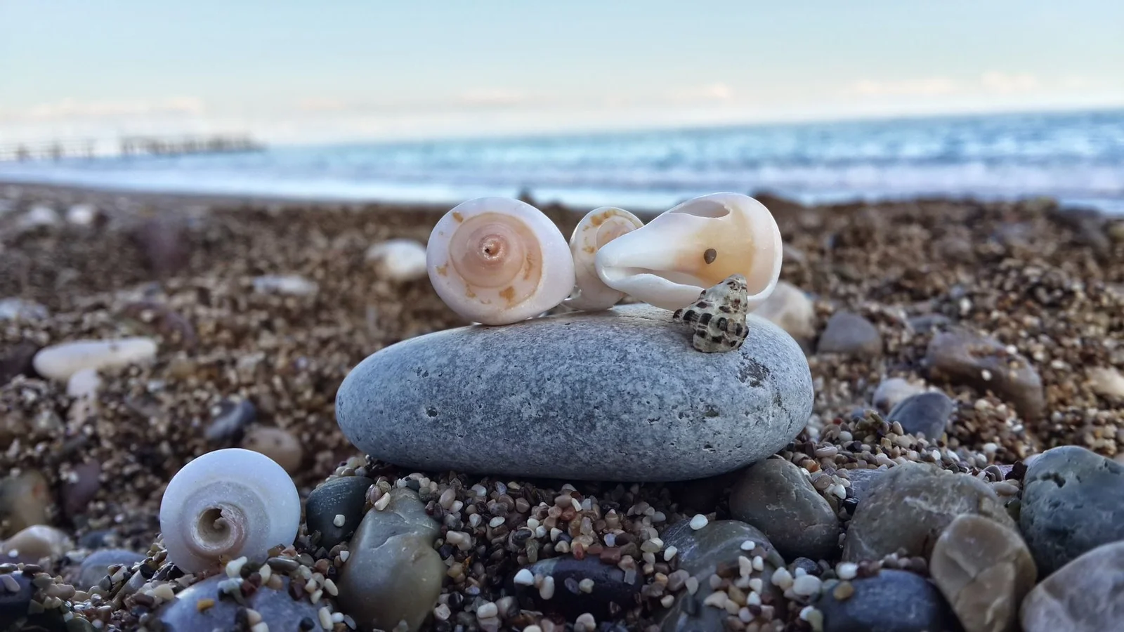 Seashells and smooth pebbles on Göynük Beach by the Mediterranean