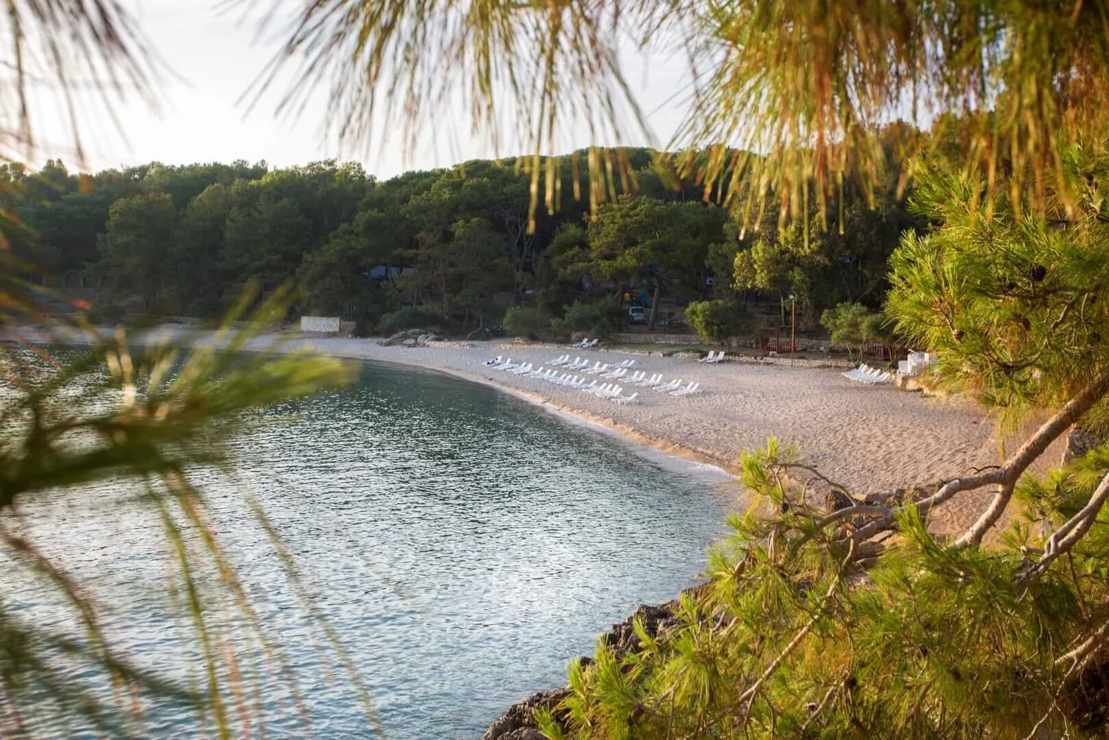 Pine forest and sandy cove in İncekum Nature Park