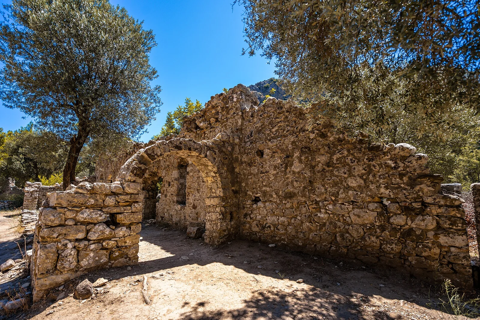 Stone arch and walls among olive trees in Olympos Ancient City