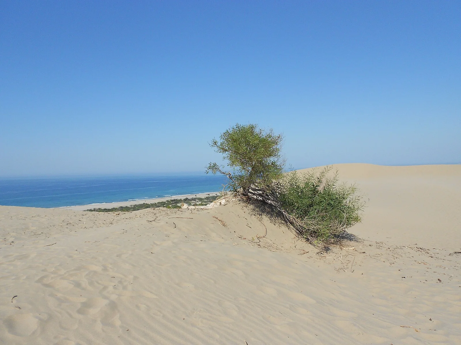 Golden sand dunes above Patara Beach and the Mediterranean