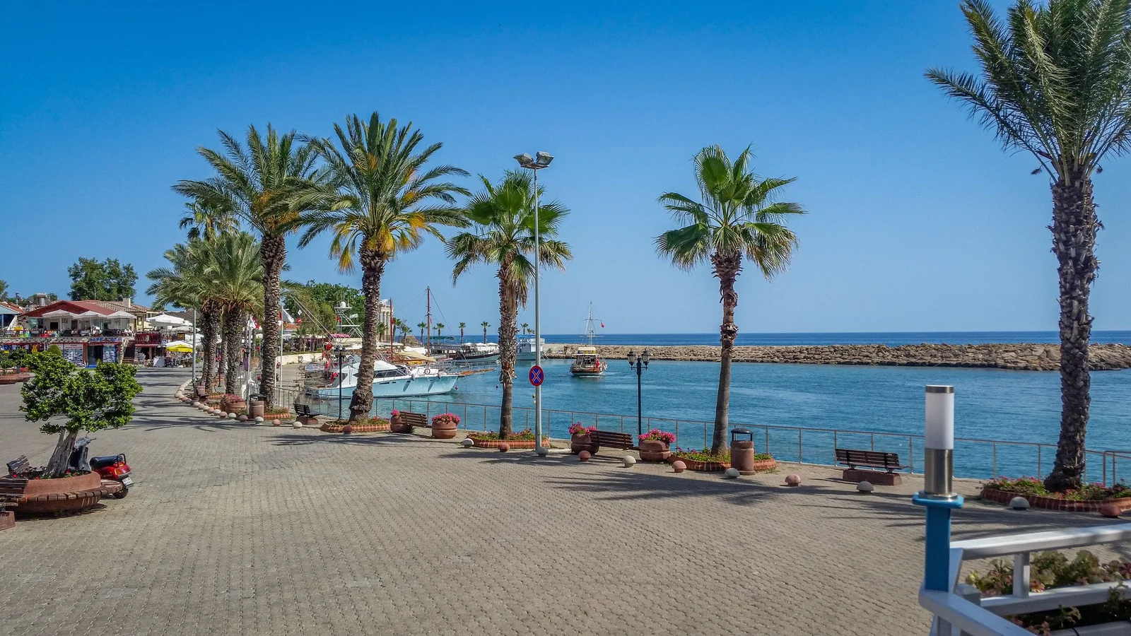 Palm-lined harbour and boats in Side