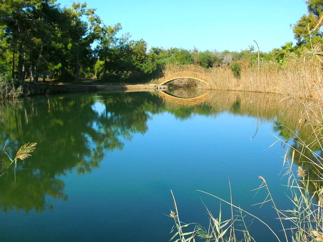 Reeds and a walking bridge beside Titreyengöl's former river arm